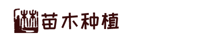开云官方在线入口（China）官方网站